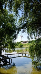 Valea Iazurilor: relaxare cu imagini... orgasmice! svg+xml,%3Csvg%20xmlns%3D%22http%3A%2F%2Fwww.w3 - Valea Iazurilor: relaxare cu imagini... orgasmice!