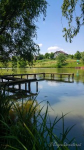 Valea Iazurilor: relaxare cu imagini... orgasmice! svg+xml,%3Csvg%20xmlns%3D%22http%3A%2F%2Fwww.w3 - Valea Iazurilor: relaxare cu imagini... orgasmice!