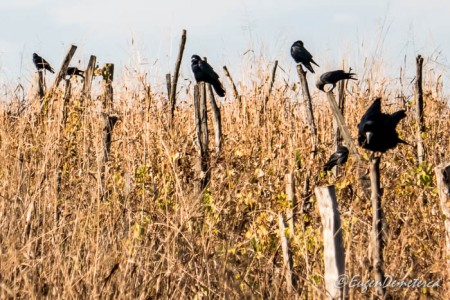 Valea Iazurilor: relaxare cu imagini... orgasmice! svg+xml,%3Csvg%20xmlns%3D%22http%3A%2F%2Fwww.w3 - Valea Iazurilor: relaxare cu imagini... orgasmice!