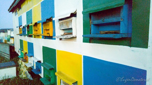 Valea Iazurilor: relaxare cu imagini... orgasmice! svg+xml,%3Csvg%20xmlns%3D%22http%3A%2F%2Fwww.w3 - Valea Iazurilor: relaxare cu imagini... orgasmice!