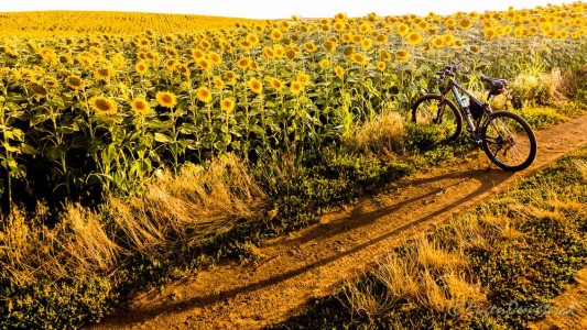 Valea Iazurilor: relaxare cu imagini... orgasmice! svg+xml,%3Csvg%20xmlns%3D%22http%3A%2F%2Fwww.w3 - Valea Iazurilor: relaxare cu imagini... orgasmice!