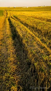 Valea Iazurilor: relaxare cu imagini... orgasmice! svg+xml,%3Csvg%20xmlns%3D%22http%3A%2F%2Fwww.w3 - Valea Iazurilor: relaxare cu imagini... orgasmice!