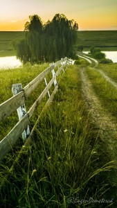 Valea Iazurilor: relaxare cu imagini... orgasmice! svg+xml,%3Csvg%20xmlns%3D%22http%3A%2F%2Fwww.w3 - Valea Iazurilor: relaxare cu imagini... orgasmice!