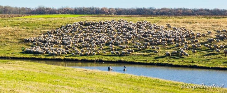 Valea Iazurilor: relaxare cu imagini... orgasmice! svg+xml,%3Csvg%20xmlns%3D%22http%3A%2F%2Fwww.w3 - Valea Iazurilor: relaxare cu imagini... orgasmice!