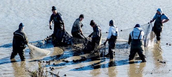 Valea Iazurilor: relaxare cu imagini... orgasmice! svg+xml,%3Csvg%20xmlns%3D%22http%3A%2F%2Fwww.w3 - Valea Iazurilor: relaxare cu imagini... orgasmice!