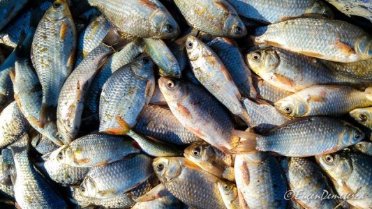 Valea Iazurilor: relaxare cu imagini... orgasmice! svg+xml,%3Csvg%20xmlns%3D%22http%3A%2F%2Fwww.w3 - Valea Iazurilor: relaxare cu imagini... orgasmice!