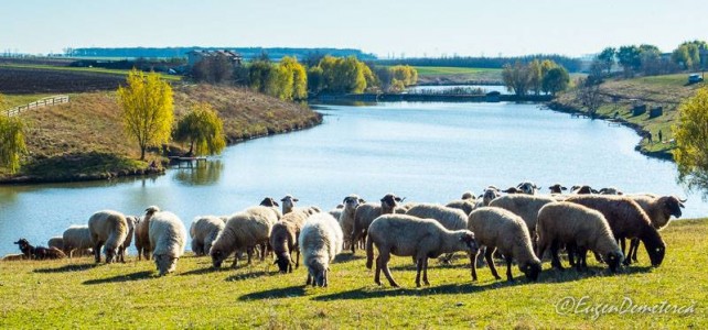 Valea Iazurilor: relaxare cu imagini... orgasmice! svg+xml,%3Csvg%20xmlns%3D%22http%3A%2F%2Fwww.w3 - Valea Iazurilor: relaxare cu imagini... orgasmice!