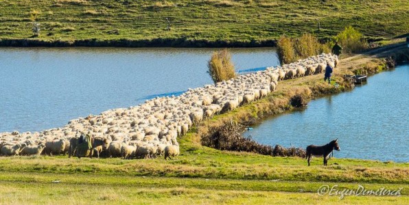 Valea Iazurilor: relaxare cu imagini... orgasmice! svg+xml,%3Csvg%20xmlns%3D%22http%3A%2F%2Fwww.w3 - Valea Iazurilor: relaxare cu imagini... orgasmice!