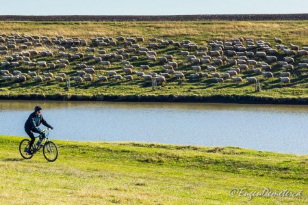 Valea Iazurilor: relaxare cu imagini... orgasmice! svg+xml,%3Csvg%20xmlns%3D%22http%3A%2F%2Fwww.w3 - Valea Iazurilor: relaxare cu imagini... orgasmice!