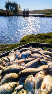 Valea Iazurilor: relaxare cu imagini... orgasmice! svg+xml,%3Csvg%20xmlns%3D%22http%3A%2F%2Fwww.w3 - Valea Iazurilor: relaxare cu imagini... orgasmice!