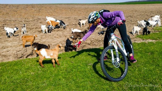 Valea Iazurilor: relaxare cu imagini... orgasmice! svg+xml,%3Csvg%20xmlns%3D%22http%3A%2F%2Fwww.w3 - Valea Iazurilor: relaxare cu imagini... orgasmice!