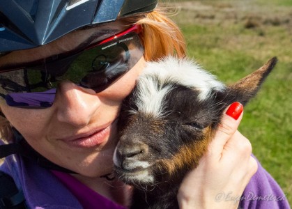 Valea Iazurilor: relaxare cu imagini... orgasmice! svg+xml,%3Csvg%20xmlns%3D%22http%3A%2F%2Fwww.w3 - Valea Iazurilor: relaxare cu imagini... orgasmice!