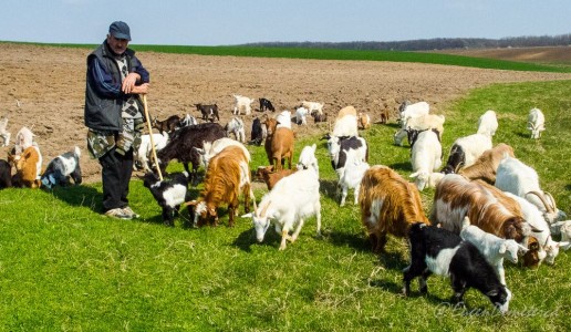 Valea Iazurilor: relaxare cu imagini... orgasmice! svg+xml,%3Csvg%20xmlns%3D%22http%3A%2F%2Fwww.w3 - Valea Iazurilor: relaxare cu imagini... orgasmice!