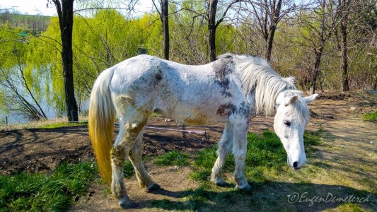 Valea Iazurilor: relaxare cu imagini... orgasmice! svg+xml,%3Csvg%20xmlns%3D%22http%3A%2F%2Fwww.w3 - Valea Iazurilor: relaxare cu imagini... orgasmice!