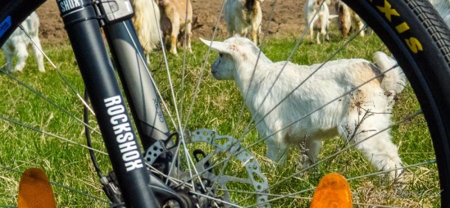 Valea Iazurilor: relaxare cu imagini... orgasmice! svg+xml,%3Csvg%20xmlns%3D%22http%3A%2F%2Fwww.w3 - Valea Iazurilor: relaxare cu imagini... orgasmice!