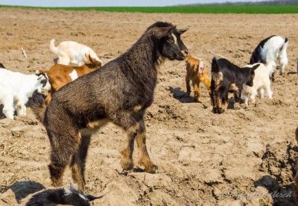 Valea Iazurilor: relaxare cu imagini... orgasmice! svg+xml,%3Csvg%20xmlns%3D%22http%3A%2F%2Fwww.w3 - Valea Iazurilor: relaxare cu imagini... orgasmice!