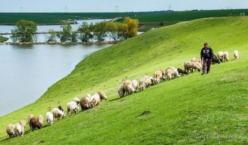 Valea Iazurilor: relaxare cu imagini... orgasmice! svg+xml,%3Csvg%20xmlns%3D%22http%3A%2F%2Fwww.w3 - Valea Iazurilor: relaxare cu imagini... orgasmice!