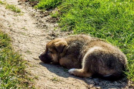 Valea Iazurilor: relaxare cu imagini... orgasmice! svg+xml,%3Csvg%20xmlns%3D%22http%3A%2F%2Fwww.w3 - Valea Iazurilor: relaxare cu imagini... orgasmice!