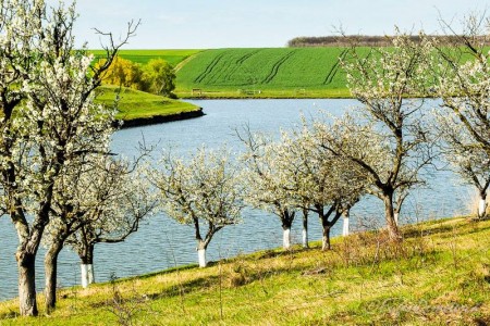 Valea Iazurilor: relaxare cu imagini... orgasmice! svg+xml,%3Csvg%20xmlns%3D%22http%3A%2F%2Fwww.w3 - Valea Iazurilor: relaxare cu imagini... orgasmice!