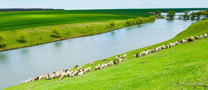 Valea Iazurilor: relaxare cu imagini... orgasmice! svg+xml,%3Csvg%20xmlns%3D%22http%3A%2F%2Fwww.w3 - Valea Iazurilor: relaxare cu imagini... orgasmice!