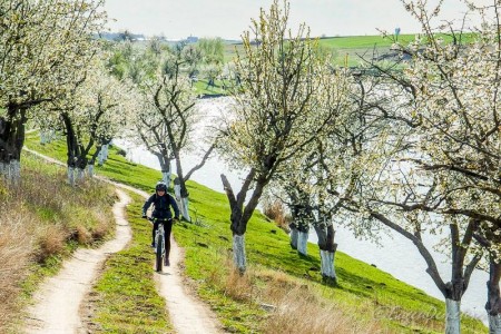 Valea Iazurilor: relaxare cu imagini... orgasmice! svg+xml,%3Csvg%20xmlns%3D%22http%3A%2F%2Fwww.w3 - Valea Iazurilor: relaxare cu imagini... orgasmice!