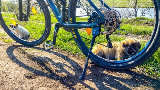 Valea Iazurilor: relaxare cu imagini... orgasmice! svg+xml,%3Csvg%20xmlns%3D%22http%3A%2F%2Fwww.w3 - Valea Iazurilor: relaxare cu imagini... orgasmice!