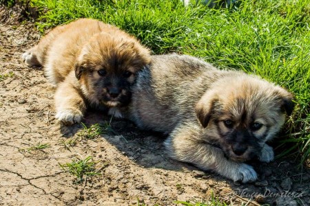 Valea Iazurilor: relaxare cu imagini... orgasmice! svg+xml,%3Csvg%20xmlns%3D%22http%3A%2F%2Fwww.w3 - Valea Iazurilor: relaxare cu imagini... orgasmice!