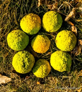 Valea Iazurilor: relaxare cu imagini... orgasmice! svg+xml,%3Csvg%20xmlns%3D%22http%3A%2F%2Fwww.w3 - Valea Iazurilor: relaxare cu imagini... orgasmice!