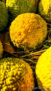 Valea Iazurilor: relaxare cu imagini... orgasmice! svg+xml,%3Csvg%20xmlns%3D%22http%3A%2F%2Fwww.w3 - Valea Iazurilor: relaxare cu imagini... orgasmice!