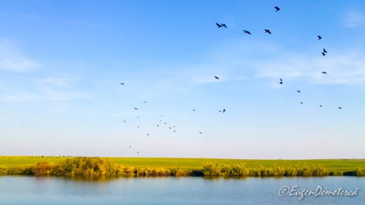 Valea Iazurilor: relaxare cu imagini... orgasmice! svg+xml,%3Csvg%20xmlns%3D%22http%3A%2F%2Fwww.w3 - Valea Iazurilor: relaxare cu imagini... orgasmice!